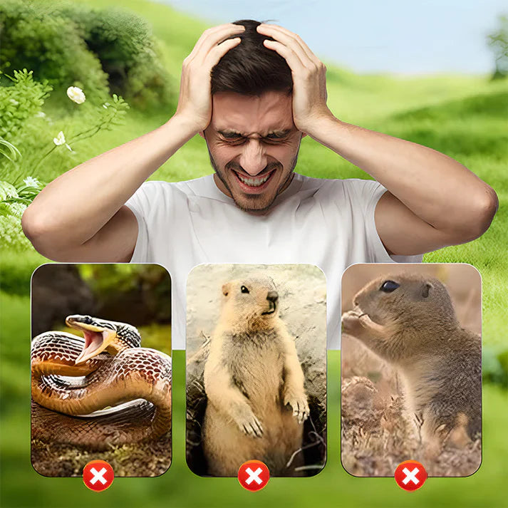 🐭 ACHETEZ 5, RECEVEZ 5 GRATUITS! 🌿 Répulsif Solaire Étanche Contre les Souris – Ultrasonique, Écologique & Facile à Installer Pour Le Jardin 🌸