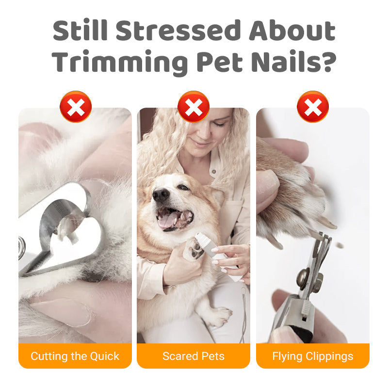 ✨ ½ PRIX ! Lime à ongles en bois pour chiens et chats – Recharges incluses, usage zéro déchet, idéale pour griffes sensibles 🐾🌿