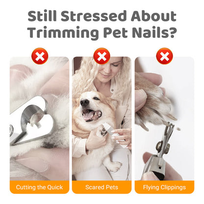 ✨ ½ PRIX ! Lime à ongles en bois pour chiens et chats – Recharges incluses, usage zéro déchet, idéale pour griffes sensibles 🐾🌿