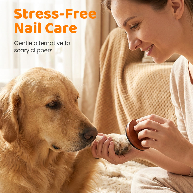 ✨ ½ PRIX ! Lime à ongles en bois pour chiens et chats – Recharges incluses, usage zéro déchet, idéale pour griffes sensibles 🐾🌿