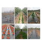 🌿 50% OFF NOW! ⛏️ Weed Barrier Fabric – No Weeds, No Hassle