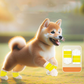 Disposable Dog Booties for Indoor and Outdoor