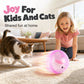 Interactive Plush Animal Rolling Ball