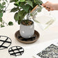 Root-Saving Pot Riser