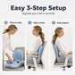 🎉 2026 Sale — Over 47,300 Sold!🪑 Ergonomic Memory Foam Seat Cushion with Back Support
