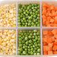 Clear Compartment Fresh Food Storage Box