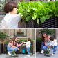 🌱 SAVE 50%! 🥬 Multifunctional Planting Box – Grow Veggies & Herbs Easily – Self-Watering, Reinforced PP & Sturdy Stable Design ✨