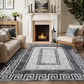 📢📢50% OFF !! 🏡✨Non-Slip Low Pile Area Rug